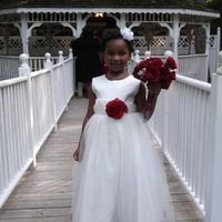 Flower Girl Dresses...Need Suggestions