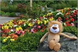 Linens and centerpiece opinions (pics included)