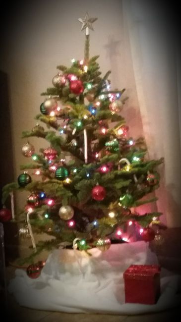 NWR Show me your tree!