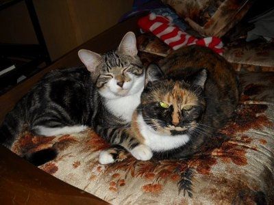 NWR: Lets see our pets!!