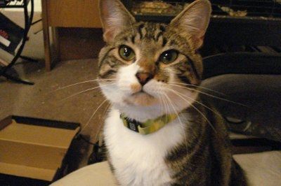 Lets see those pets!!! (NWR)