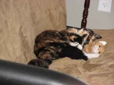 Furbabies!!! Lets show them off!