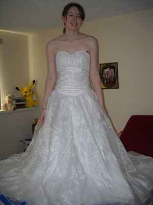 petticoat?  hoopskirt??