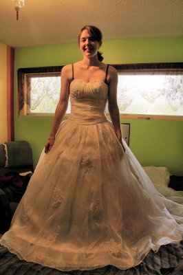 petticoat?  hoopskirt??