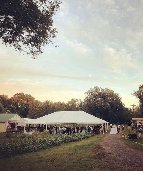 Non-pro look at our reception setup