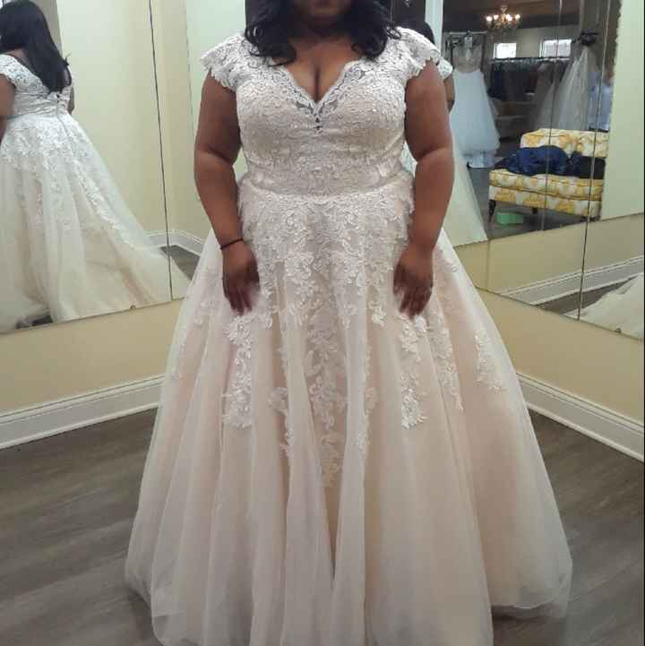 i said yes to the dress! - 1