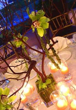 center pieces