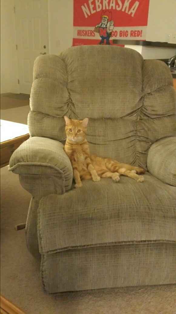 NWR: post pics of your pets!!