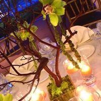 center pieces