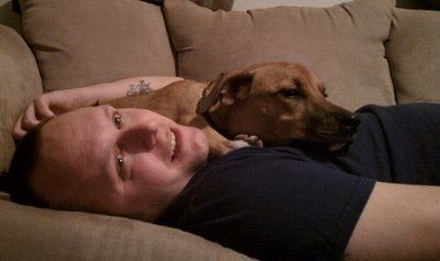 Ode to dogs