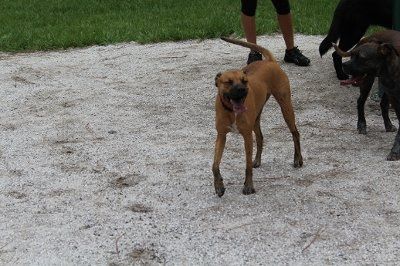 *NWR* Post pics of your furry (or not so furry) kids!