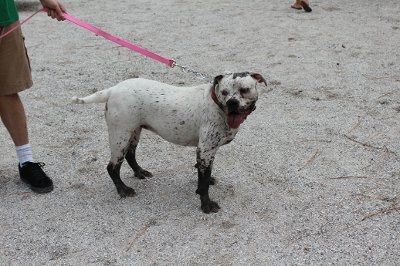 *NWR* Post pics of your furry (or not so furry) kids!