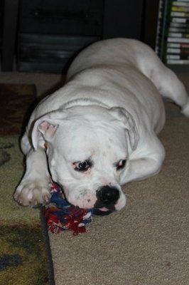 *NWR* Post pics of your furry (or not so furry) kids!