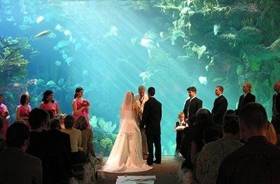 Show me your venue!
