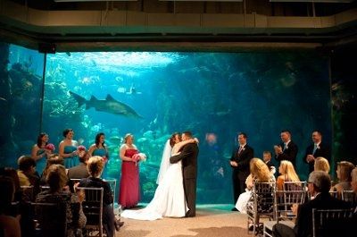 The moment you all have waitied for!! **Pic Heavy**