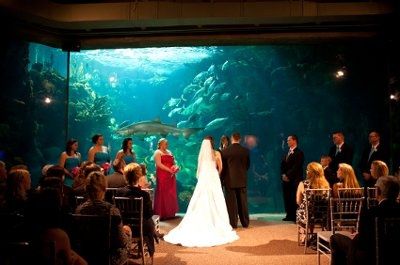 Question for the married peeps