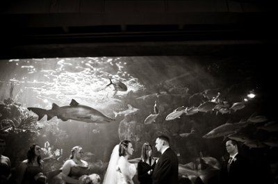 What was/will be the most unique thing about your wedding?