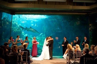 Lets See Your Venue!!