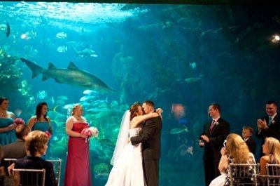 Show your favorite Wedding Pic(s)?