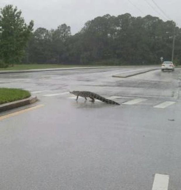 DANG YOU T.S. DEBBY!!!