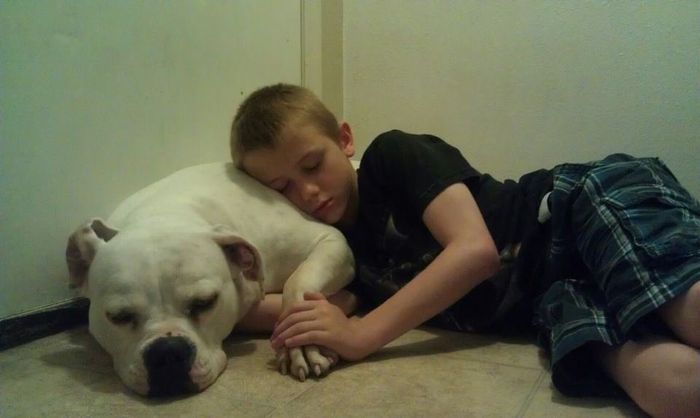 Do you and your FH have a pet?