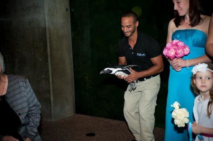 Show off here!  What do you/did you love best about your wedding?  Post pics!  :)