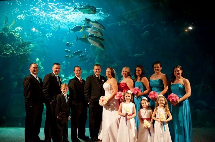 Brides who go to The Florida Aquarium, or been married to the place.