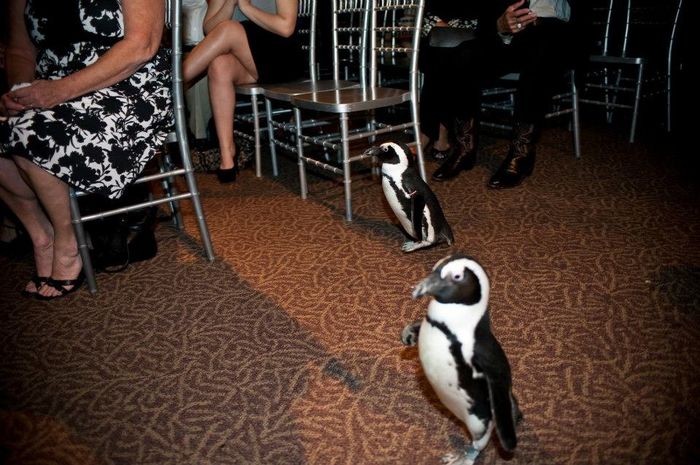 WW Wedding Flashbacks! Share your pics, vets! ;) *PICS*