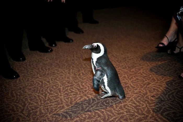 Today is my ANNIVERSARY!