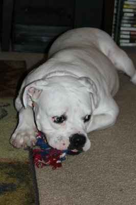 *NWR* Post pics of your furry (or not so furry) kids!