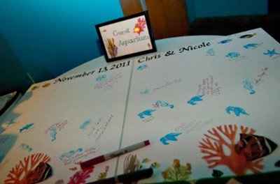 Alternative to Guestbook....displaying after?