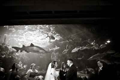 What was/will be the most unique thing about your wedding?