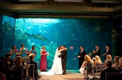 Lets See Your Venue!!