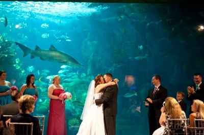 Show your favorite Wedding Pic(s)?