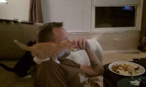 Furbabies (to lighten the mood)