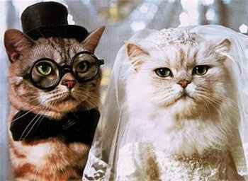 Congradulations to Kris, Sherri and all the 4/28 Brides today!!