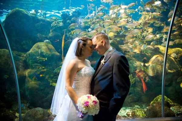 Who loves u ;) show us your FH or Hubby