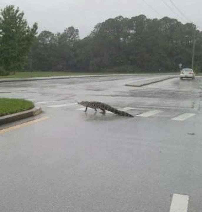 DANG YOU T.S. DEBBY!!!