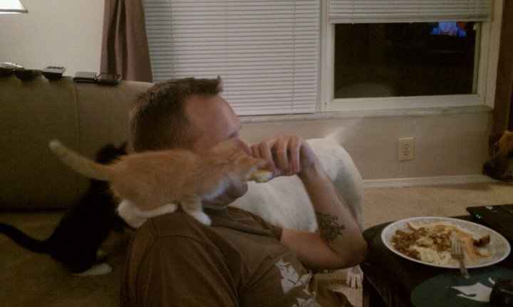 Do you and your FH have a pet?