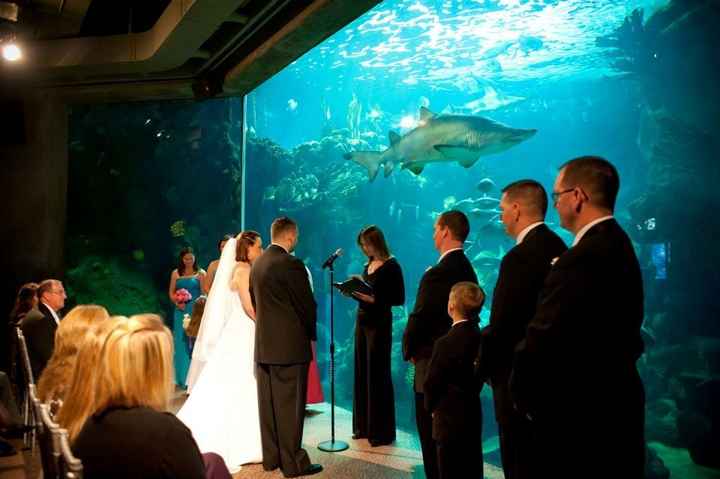 Show off here!  What do you/did you love best about your wedding?  Post pics!  :)