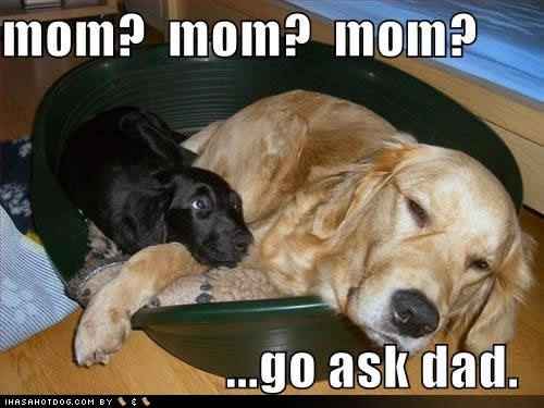 How are you?