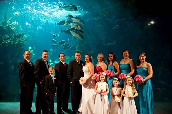 Brides who go to The Florida Aquarium, or been married to the place.