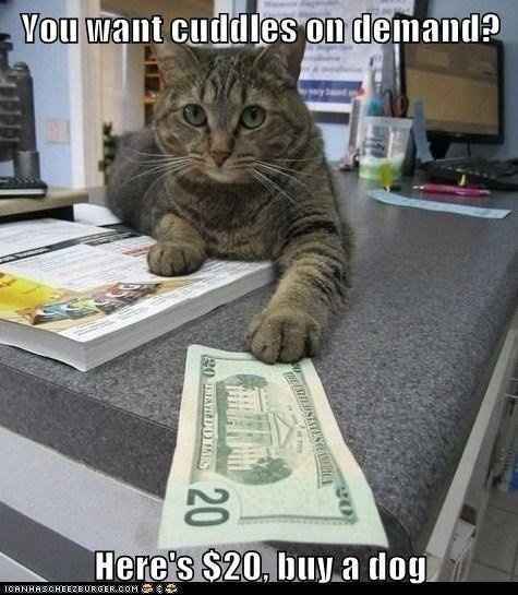 Mrs S ... We need to start another funny Cat thread!