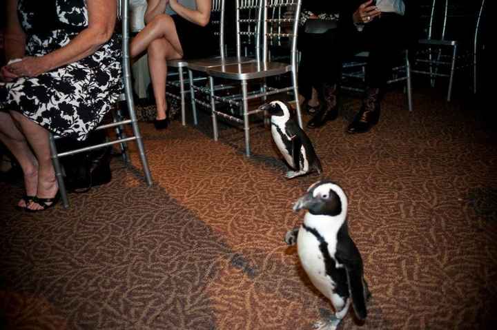 WW Wedding Flashbacks! Share your pics, vets! ;) *PICS*