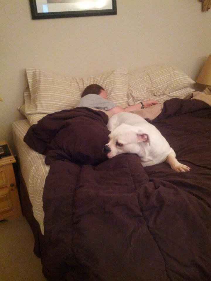 Furbabies then and now