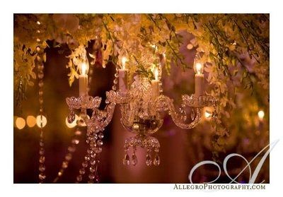 center piece help. does this match? *PICS*!!!