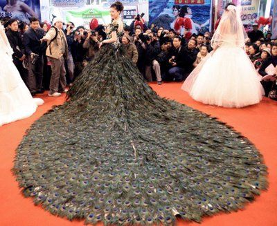 peacock bride i found your dress:)