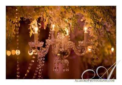 center piece help. does this match? *PICS*!!!