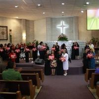 I have a new idea for a canopy