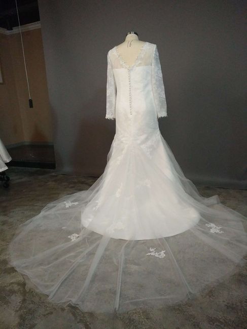 Ordered an Online wedding dress anyone?? 4